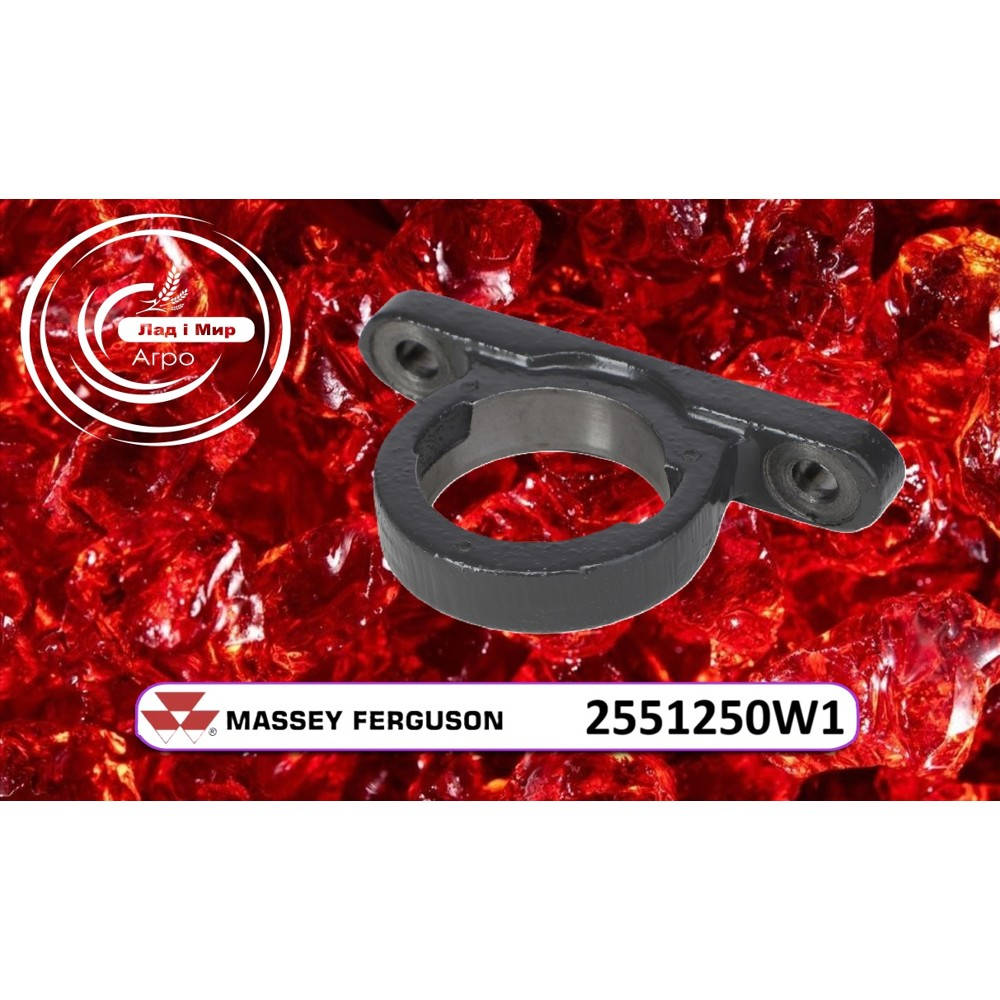 2551250W1 Korpus łożyska (Agco)
