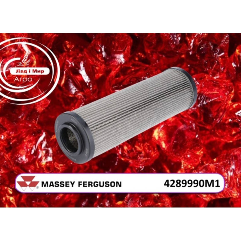 4289990M1 Steering System Filter (Agco)
