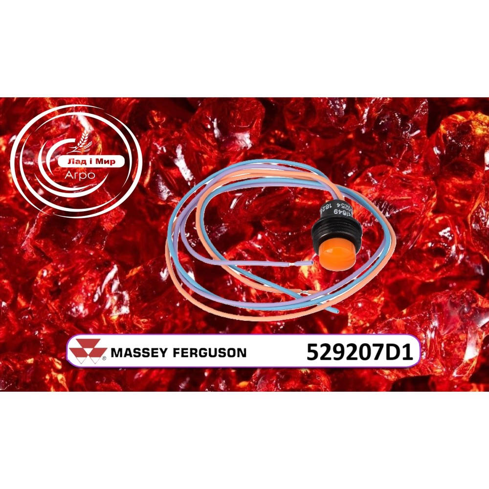 529207D1 Button (Agco)
