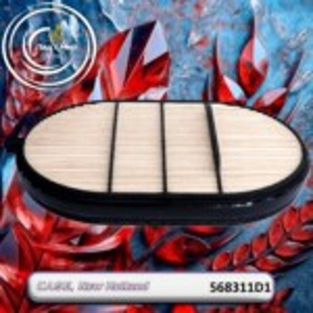 568311D1 Internal Air Filter (Agco)