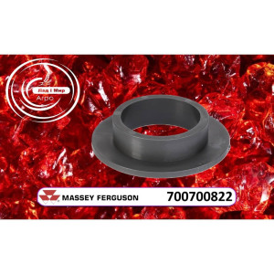 700700822 Nylon Bushing (Agco)