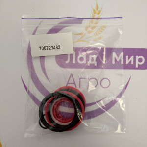 700723483 Комплект ущільнень циліндра 2.00 X 1.06 (Massey Ferguson)