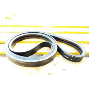 71398384 Drive Belt (Agco)