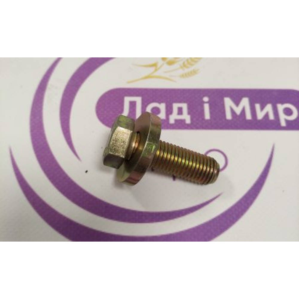 816810220020 Washer (Agco)