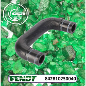 842810250040 Hose (Agco)