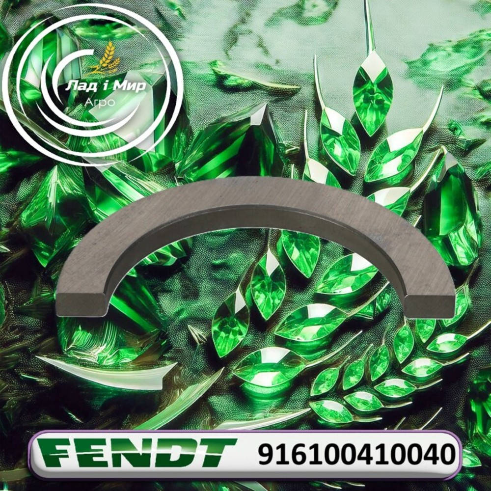 916100410040 Ring (Massey Ferguson)