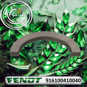 916100410040 Ring (Massey Ferguson)