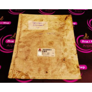 926103600010 gasket (Agco)