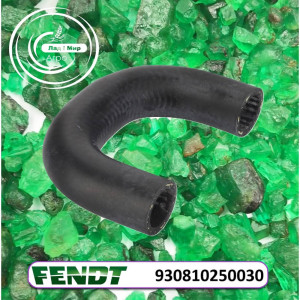 930810250030 Heating Hose (Agco)