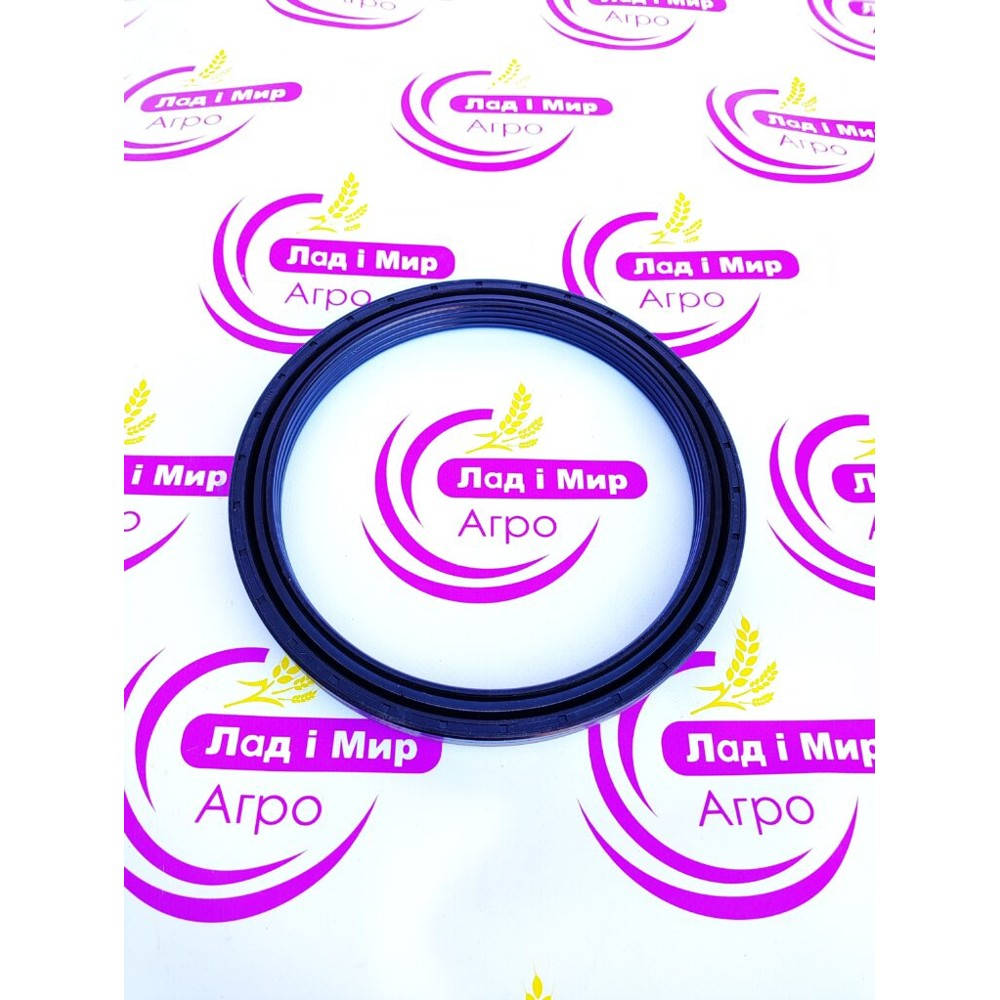 B06-2161 Hub Seal (BTA)