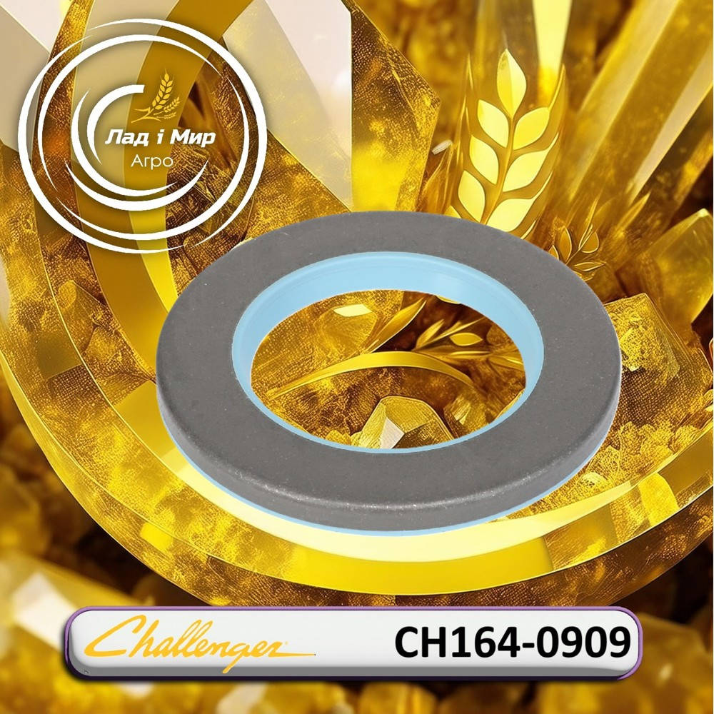 CH164-0909 Ущільнення (Agco)