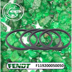 F119200050050 Sealing Ring (Agco)