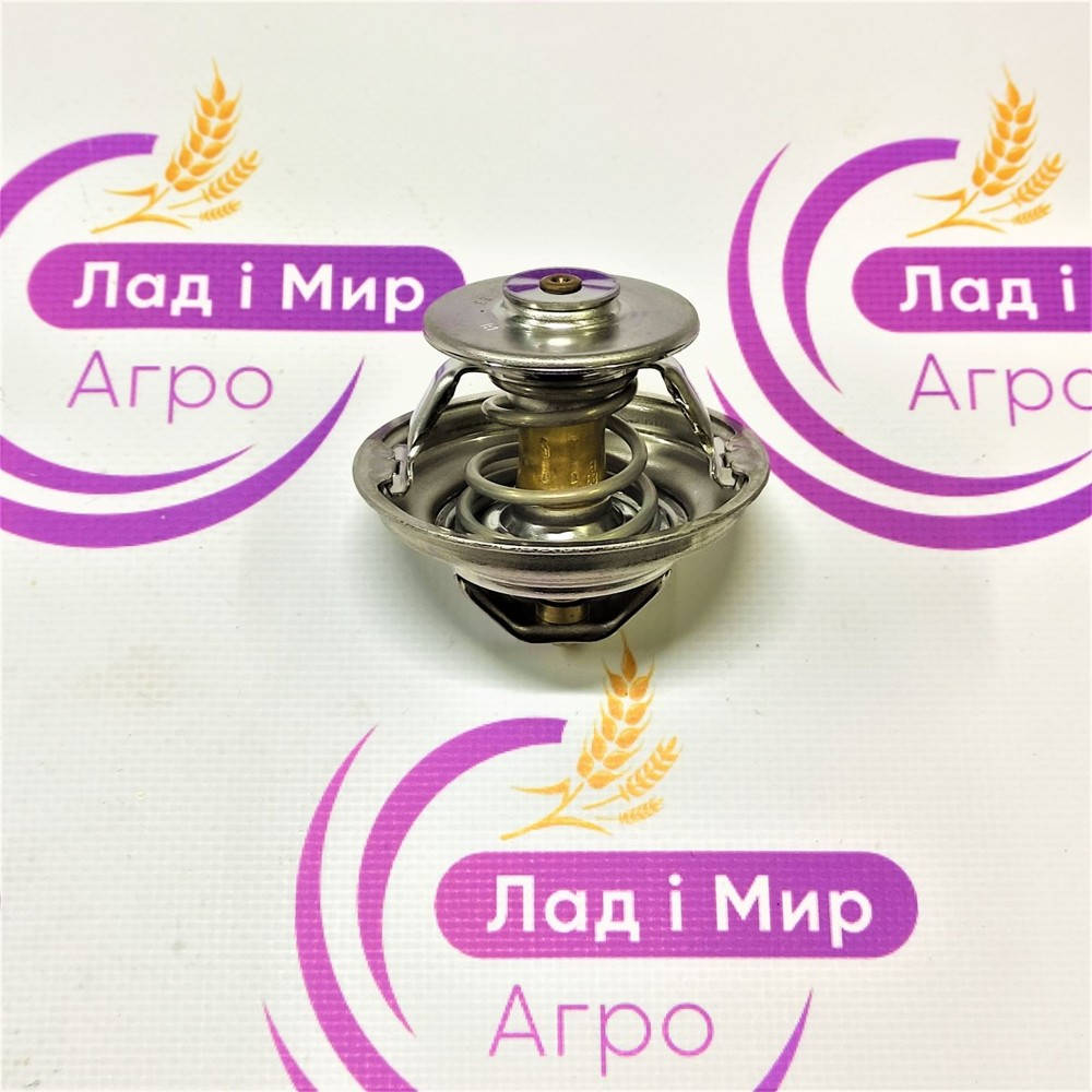 F119202050030 Termostat F934201610040 (Agco)