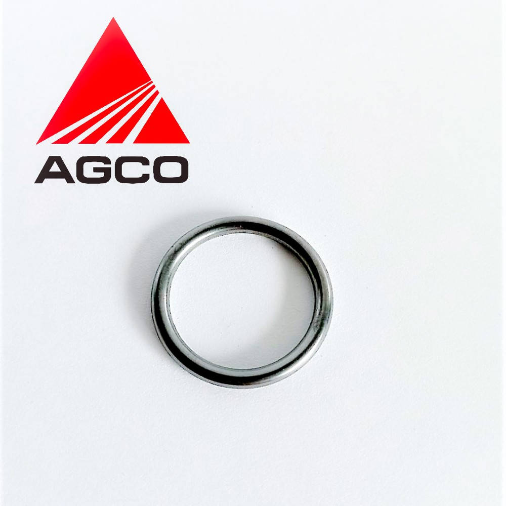 F339202710070 Rubber Ring (Agco)