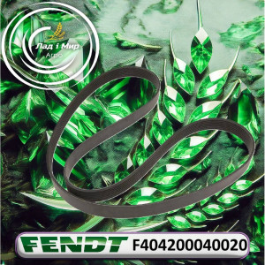 F404200040020 Pas (Agco)