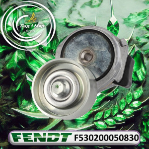 F530200050830 Tensioner Pulley Assembly (Agco)