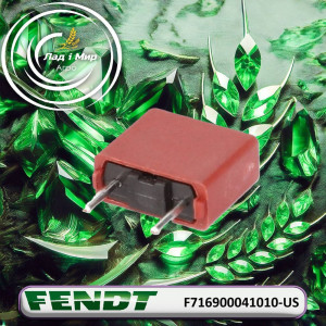 F716900041010-US Fuse (Agco)