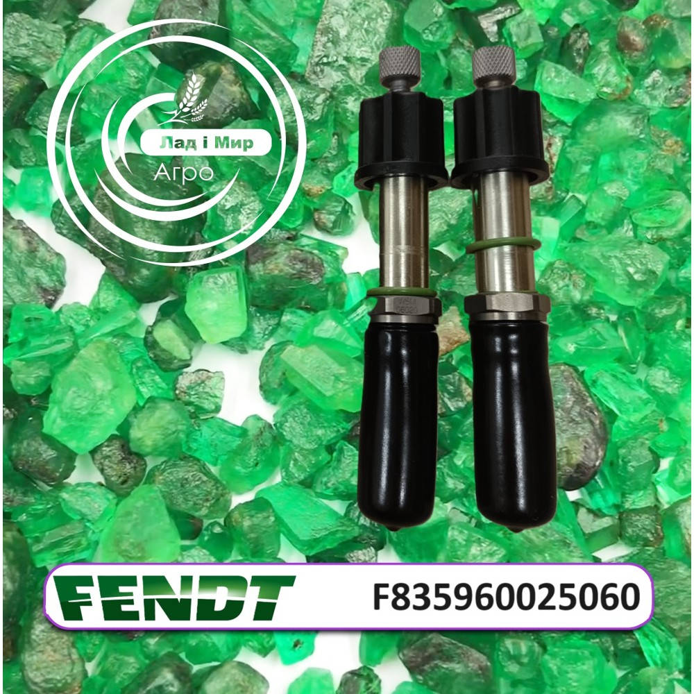 F835960025060 Valve (Agco)