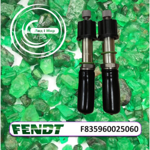 F835960025060 Valve (Agco)