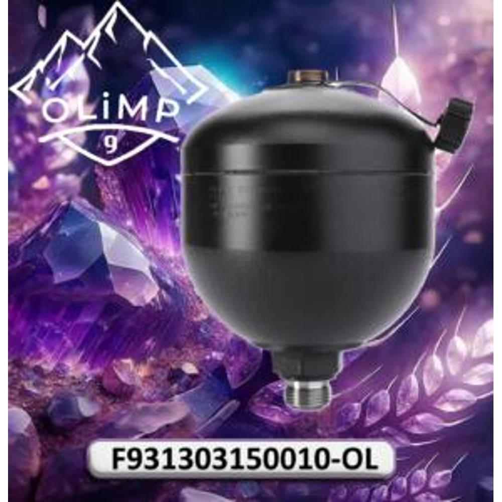 F931303150010 Hydroakumulator azotowy membranowy (Agco)