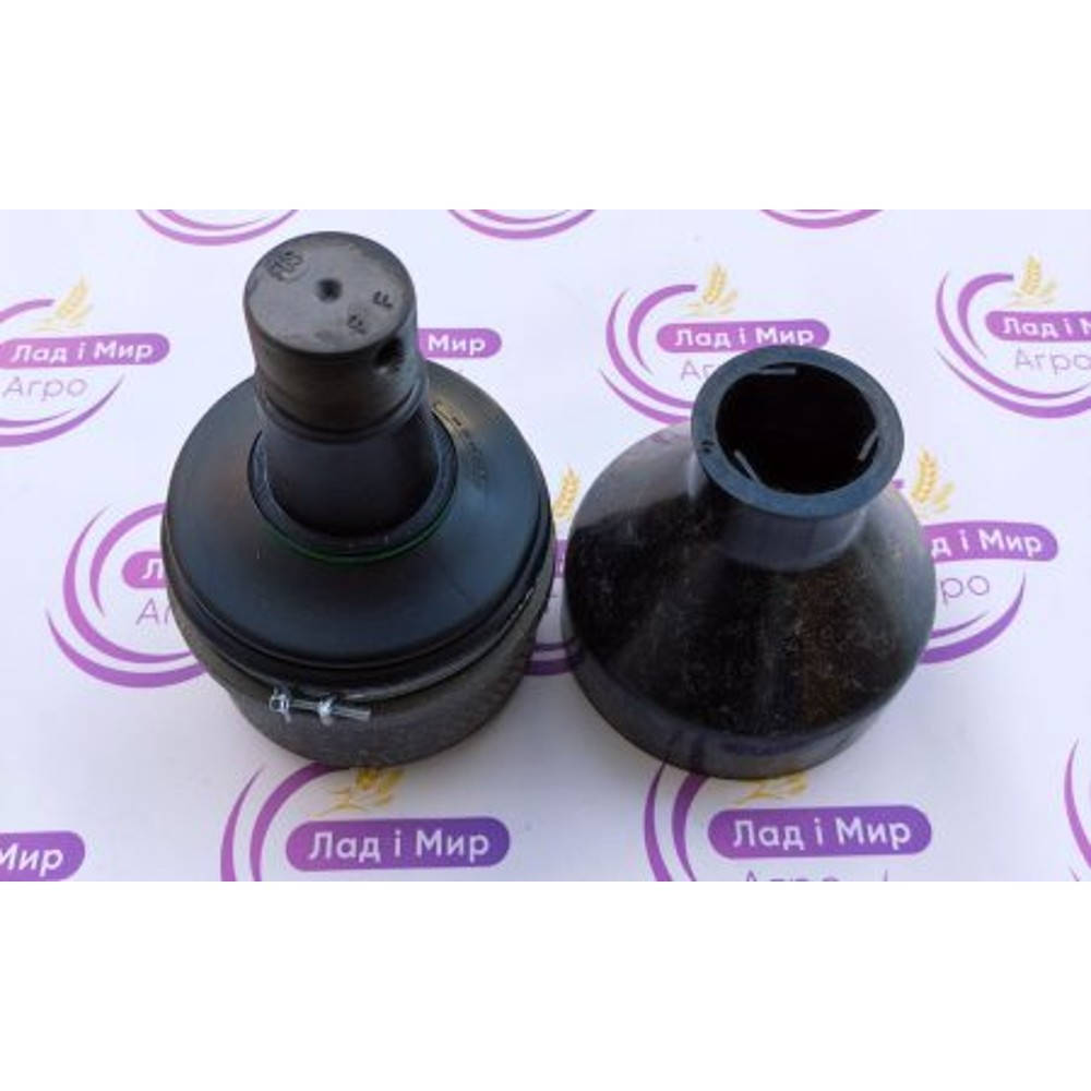 F931303220170 Steering Knuckle Joint (Agco)