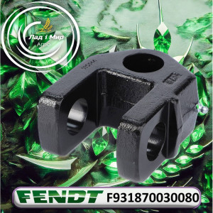 F931870030080 Hook Clamp (Agco)