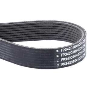 F934201040020 Pas (Agco)