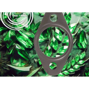 F934201090100 Gasket, paranit tube (Agco)