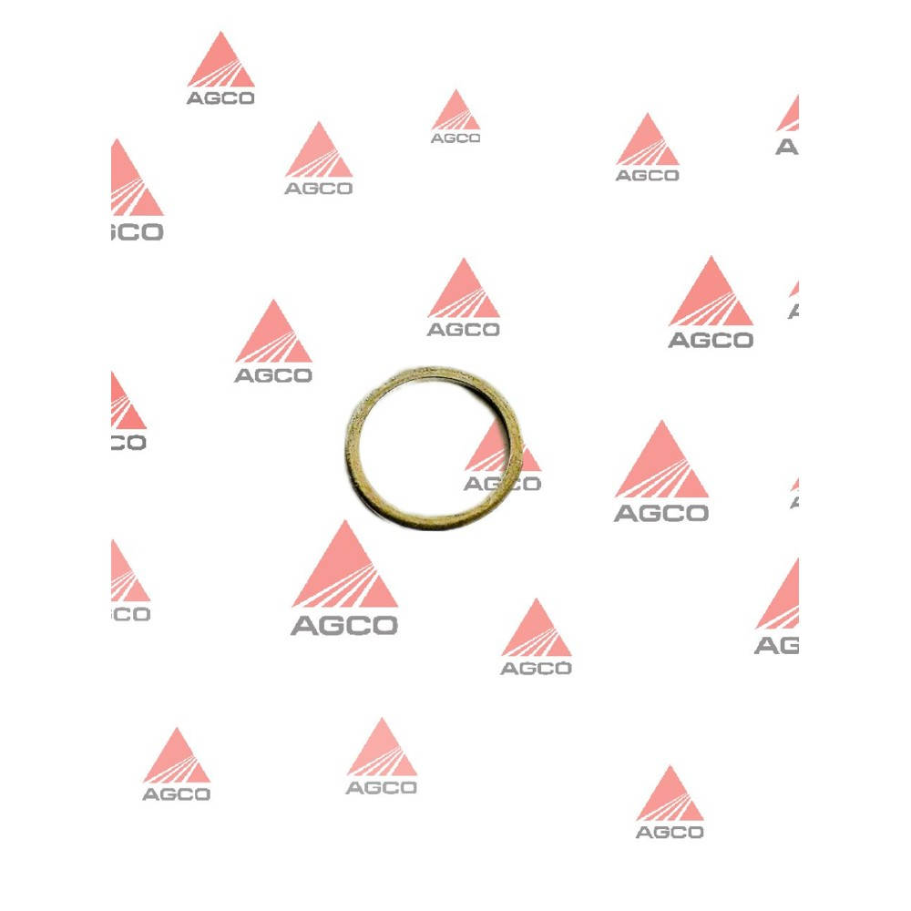 F934201090160 Sealing Ring for Turbo Oil Pipe (Agco)