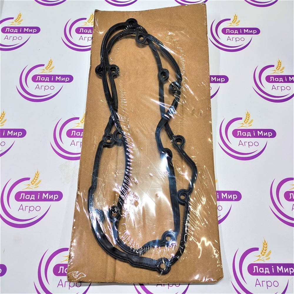 F934201210010 Valve Cover Gasket (Agco)