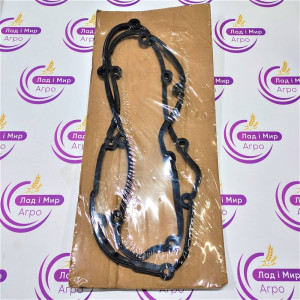 F934201210010 Valve Cover Gasket (Agco)