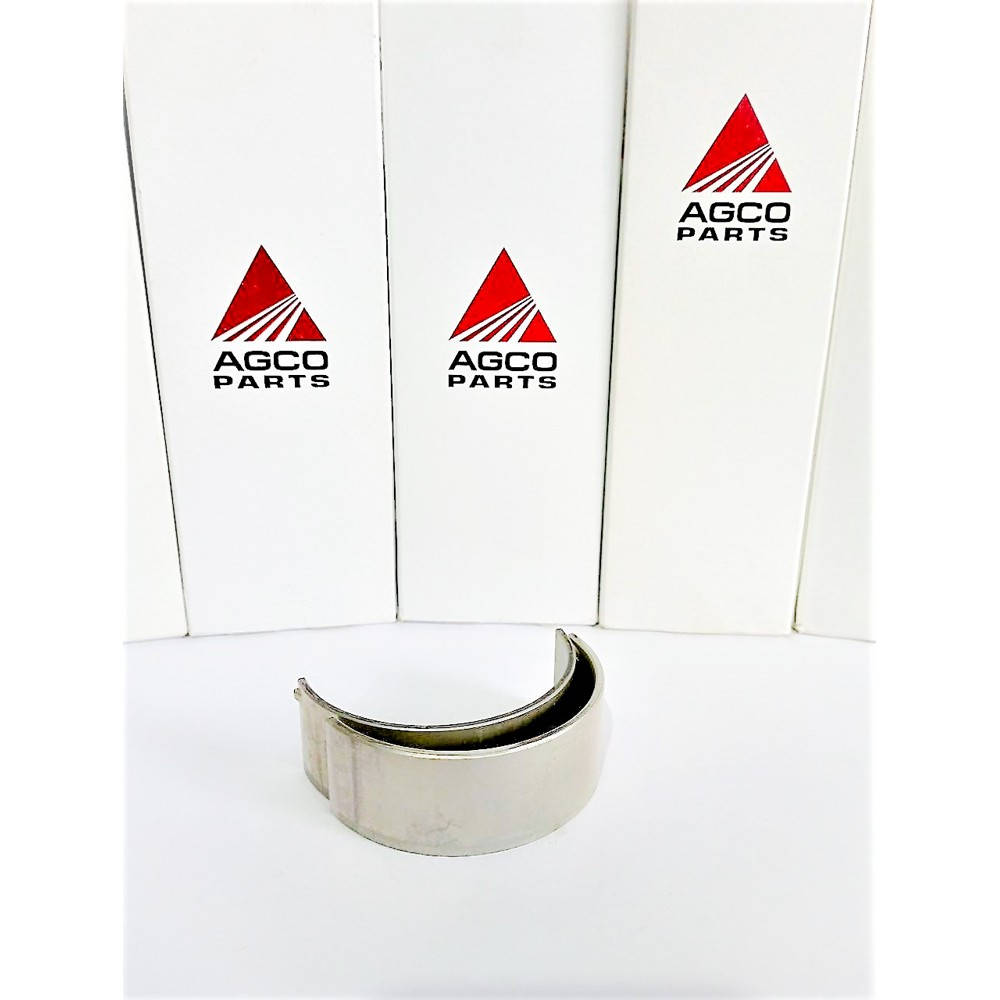 F934201310060 Connecting rod bearings (2 pcs) (Agco)