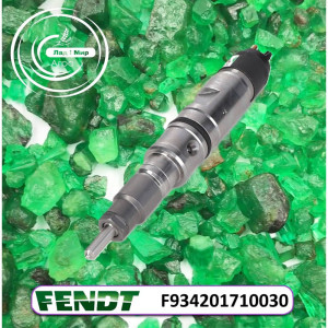 F934201710030 Injector (Agco)