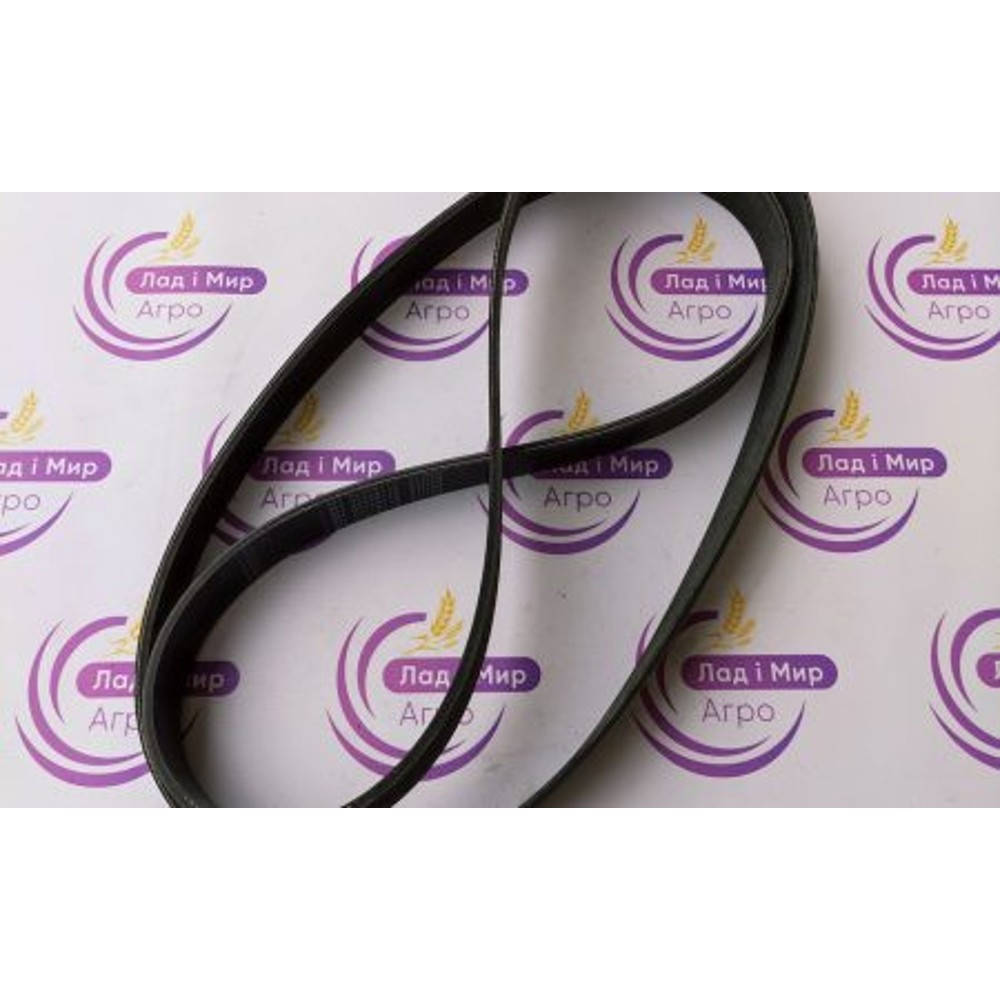 F946201040010 Пас 10PK2203 (Agco)