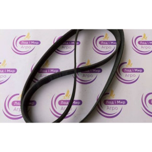 F946201040010 Пас 10PK2203 (Agco)