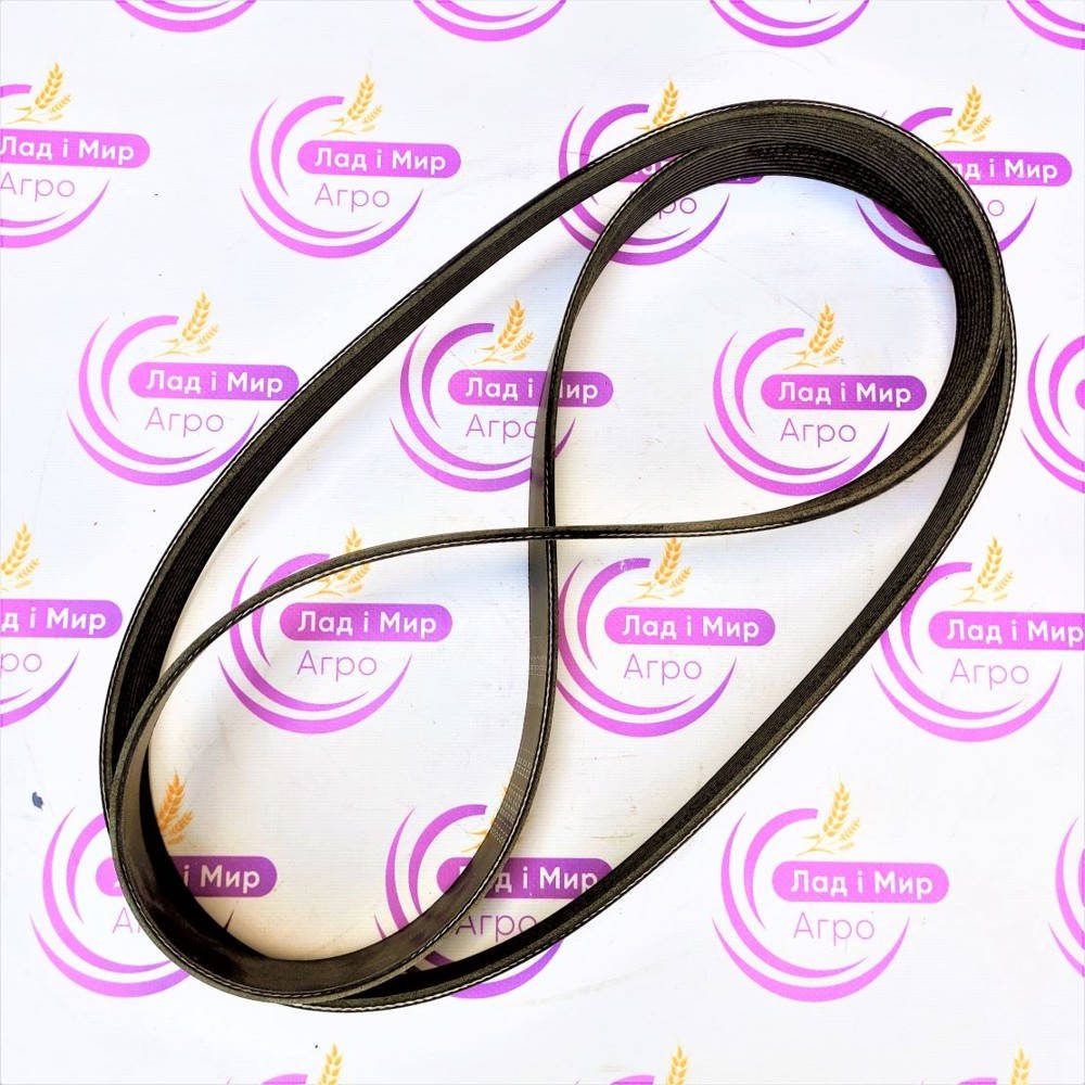 F954200040010 Poly V Belt (Agco)