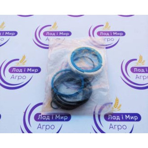 G931303051340 Seal Kit (Massey Ferguson)