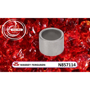 N857114 Wheel Arm Bushing (Agco)