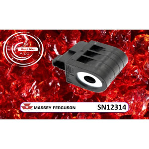 SN12314 Solenoid (Agco)