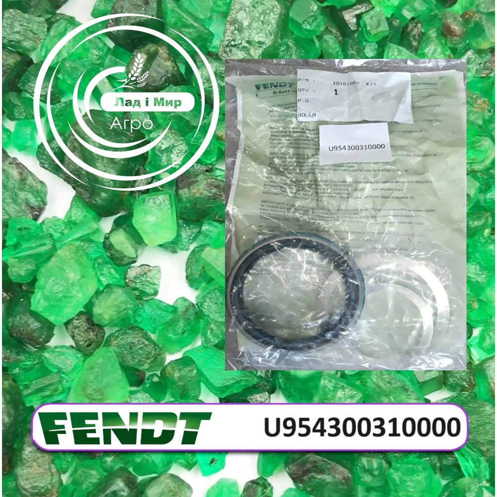 U954300310000 Repair Kit (Agco)