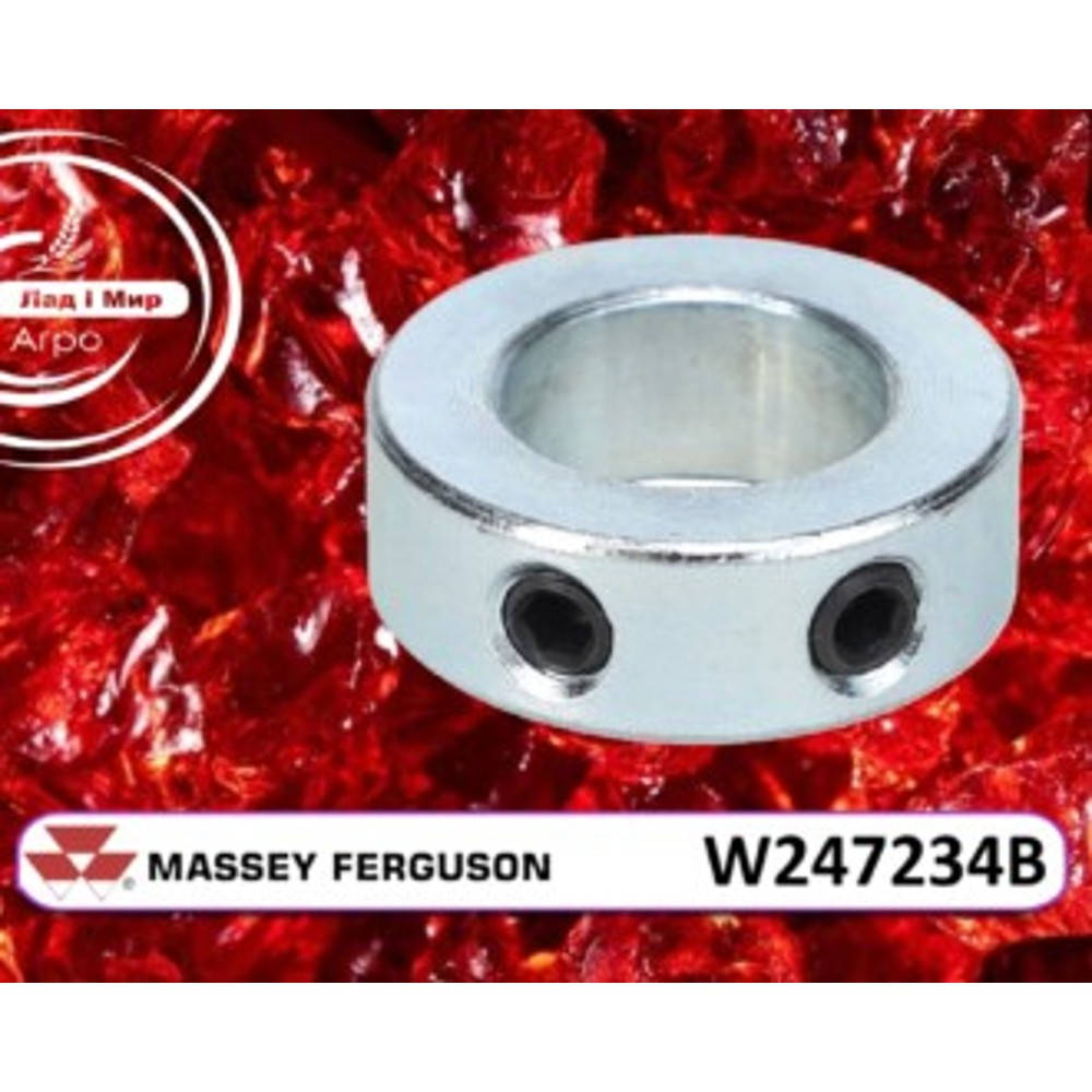 W247234B Eccentric (Massey Ferguson)