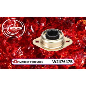W247647B Flanged Bearing 3/4 with Hex Hole (Agco)