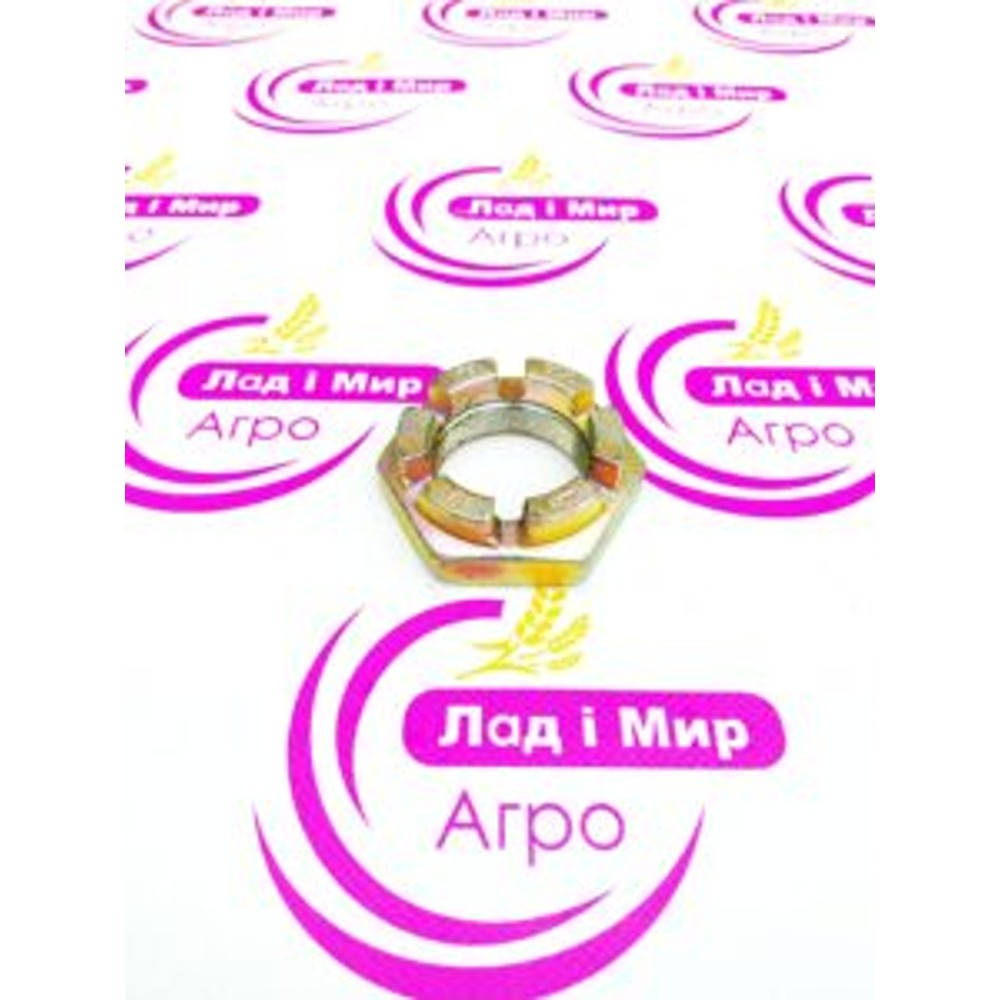 X429110200000 Crown Nut (Agco)