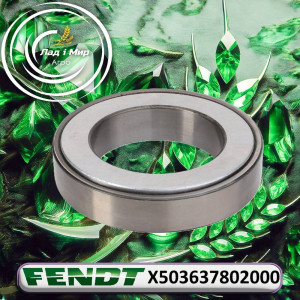 X503637802000 Bearing (Agco)