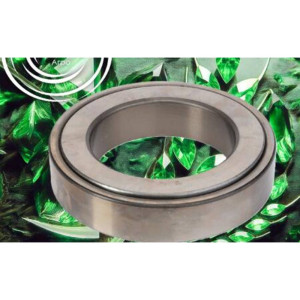 X503637900000 Bearing (Agco)