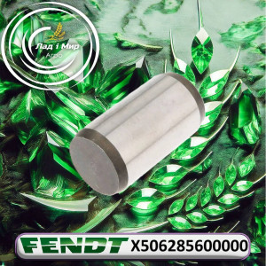 X506285600000 Coupling (Agco)