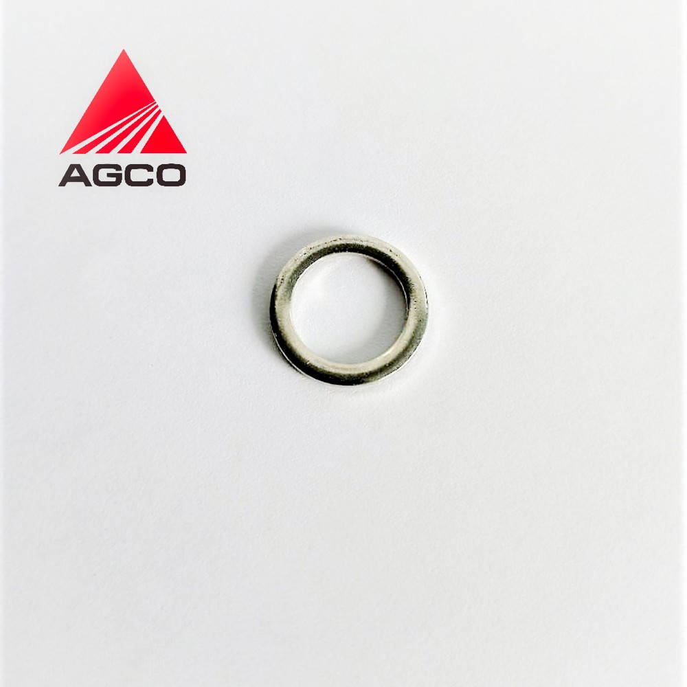 X540204200000 Sealing Washer (Agco)