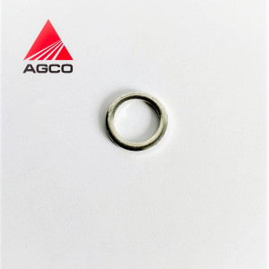 X540204200000 Sealing Washer (Agco)