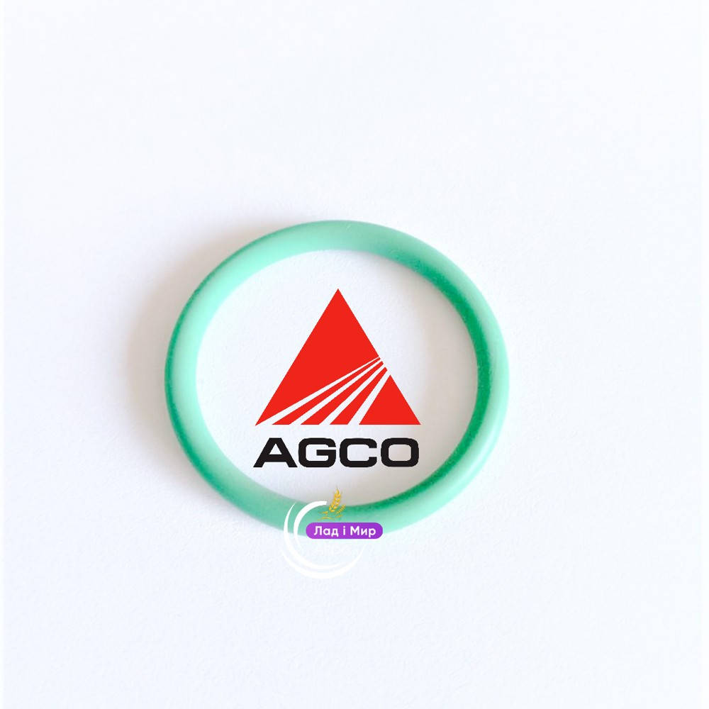 X548878200000 Ring (Agco)