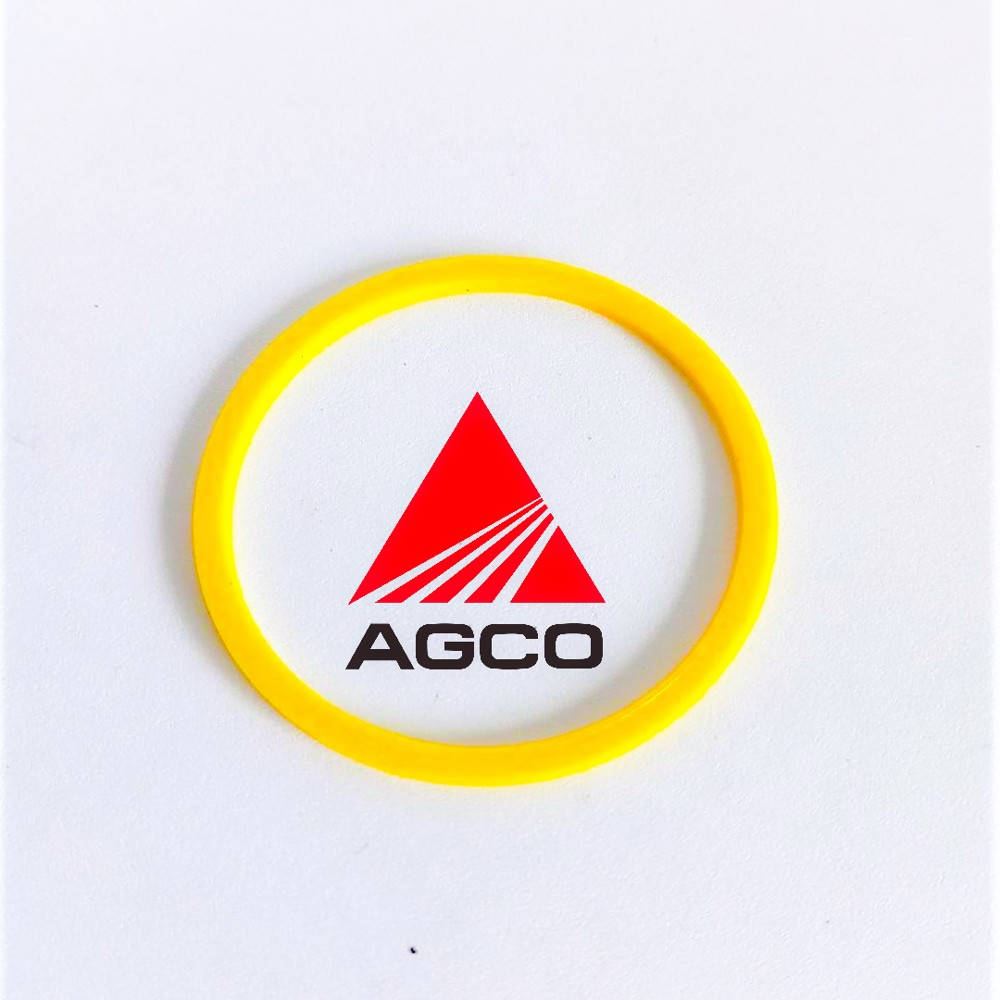 X566314000000 Ring (Agco)